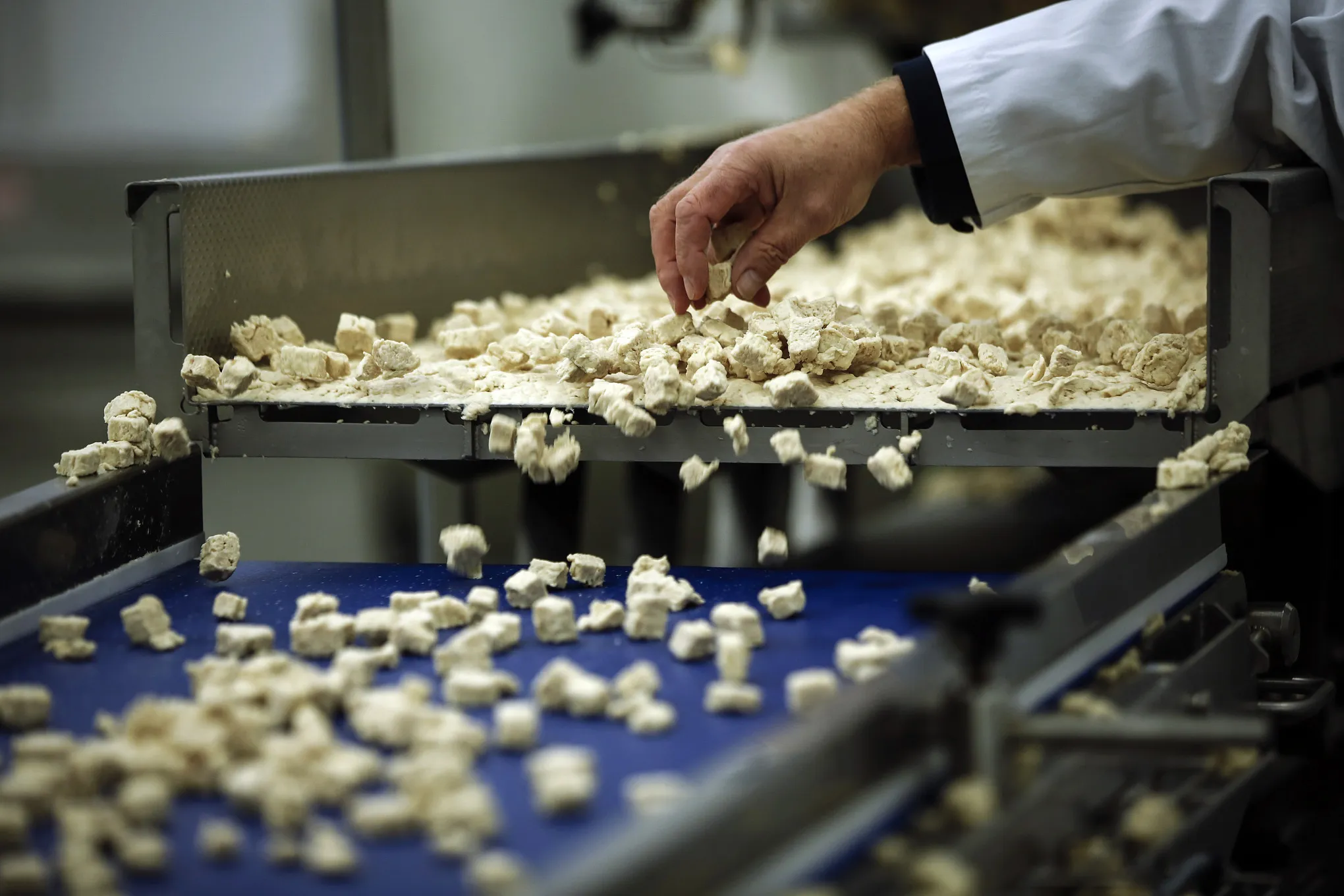Meat free ‘chicken pieces’ of Quorn.