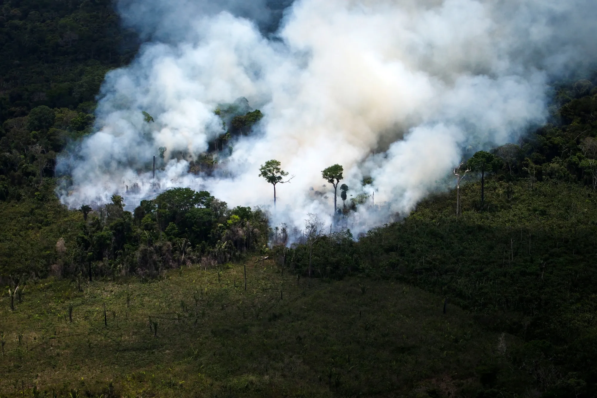 A forest fire in the Amazon forest in the state of Para, Brazil.