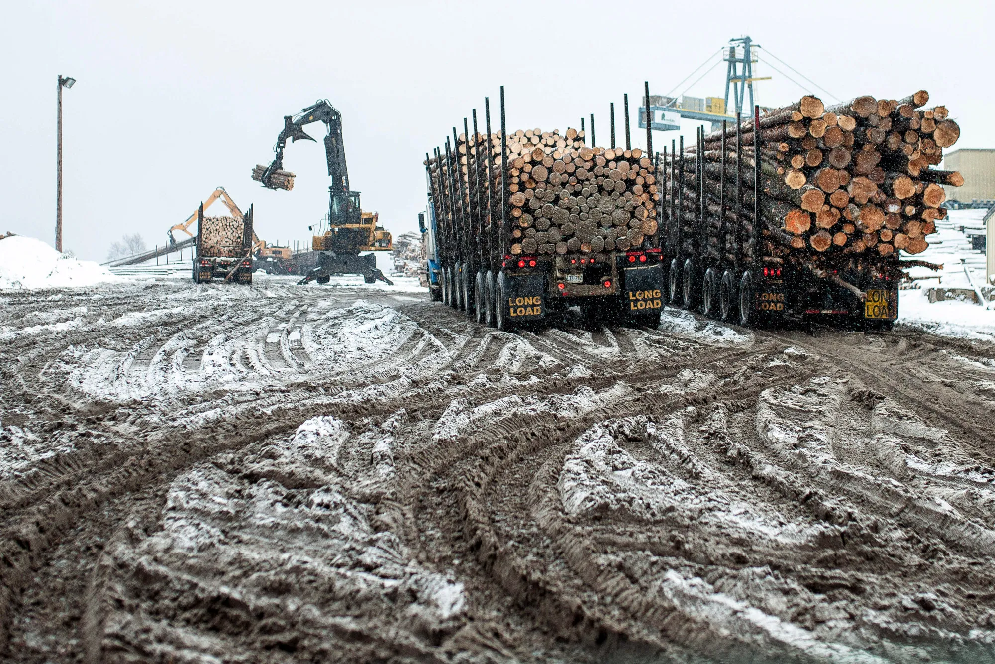 Trucks deliver raw lumber yard at a&nbsp;mill in Thunder Bay, Canada, Ontario.