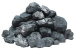 Forty percent of U.S. energy will come from coal this year