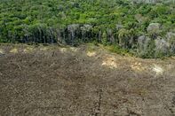 BRAZIL-ENVIRONMENT-DEFORESTATION