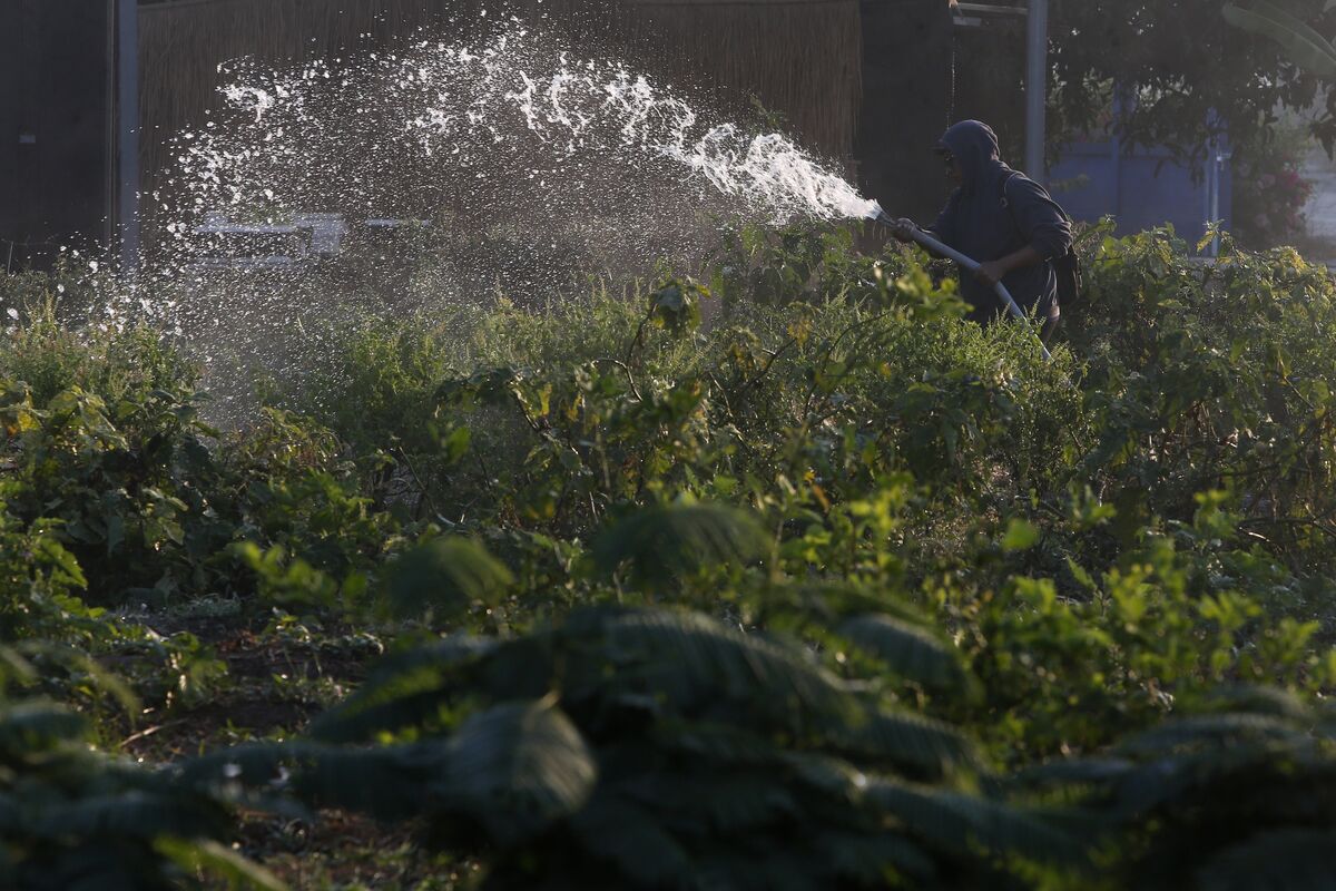 Bangkok Wakes to Toxic Air Choking Central Business Districts