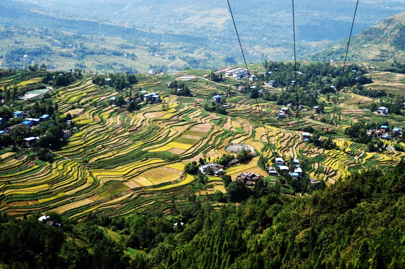 China’s&nbsp;rice harvests&nbsp;will be at greatest risk if severe weather is prolonged.