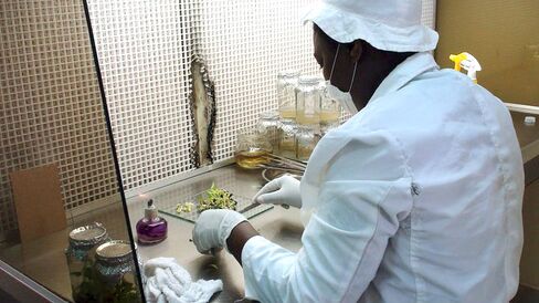 KARI Lab