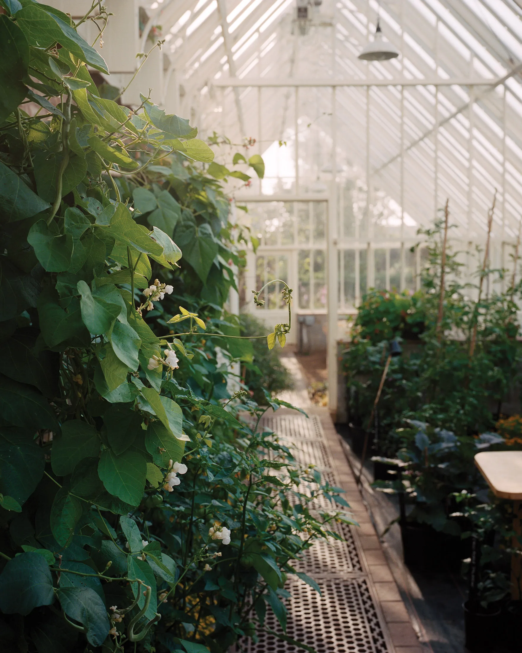 A greenhouse on the Cambo estate in Fife, Scotland