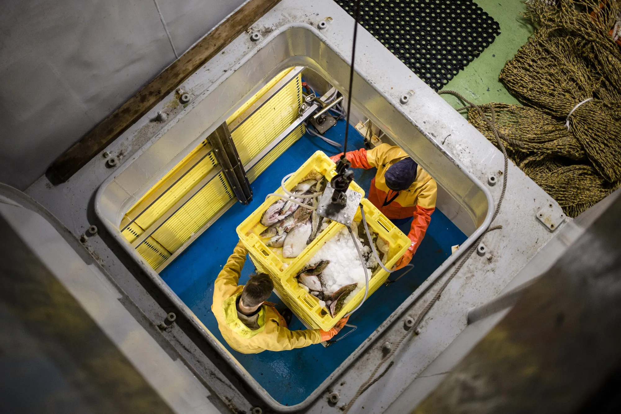 Fishermen use a winch to transport crates of fish from a trawler’s hold.