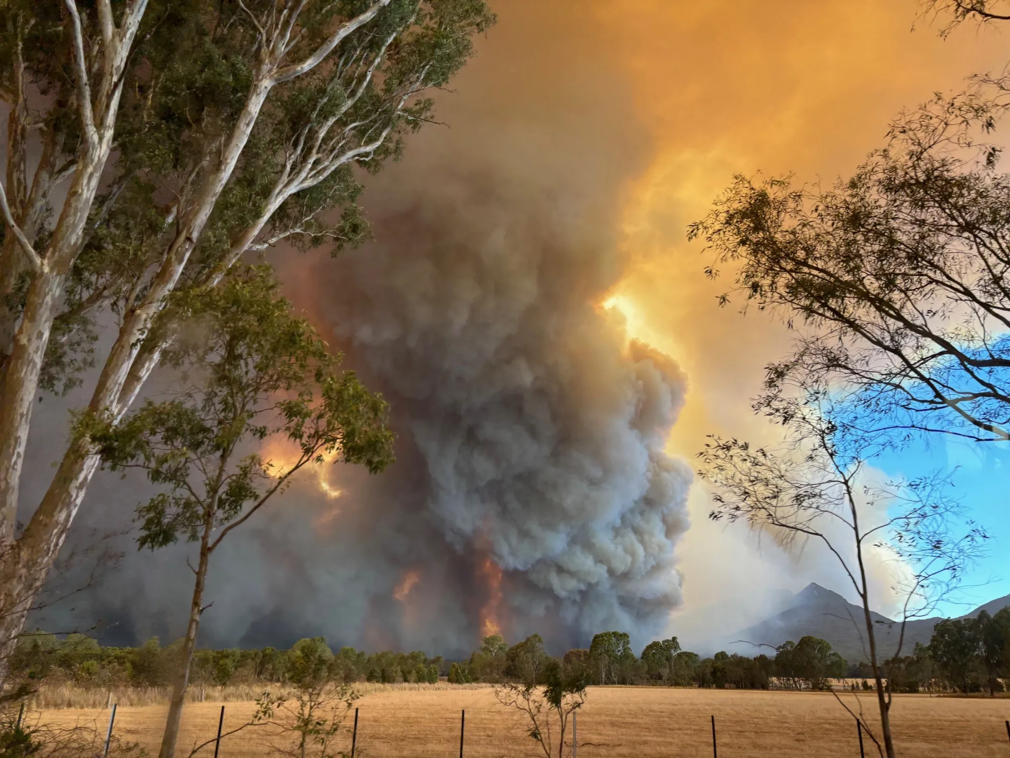 Australia Braces for Worsening Bushfires as National Park Burns - Bloomberg