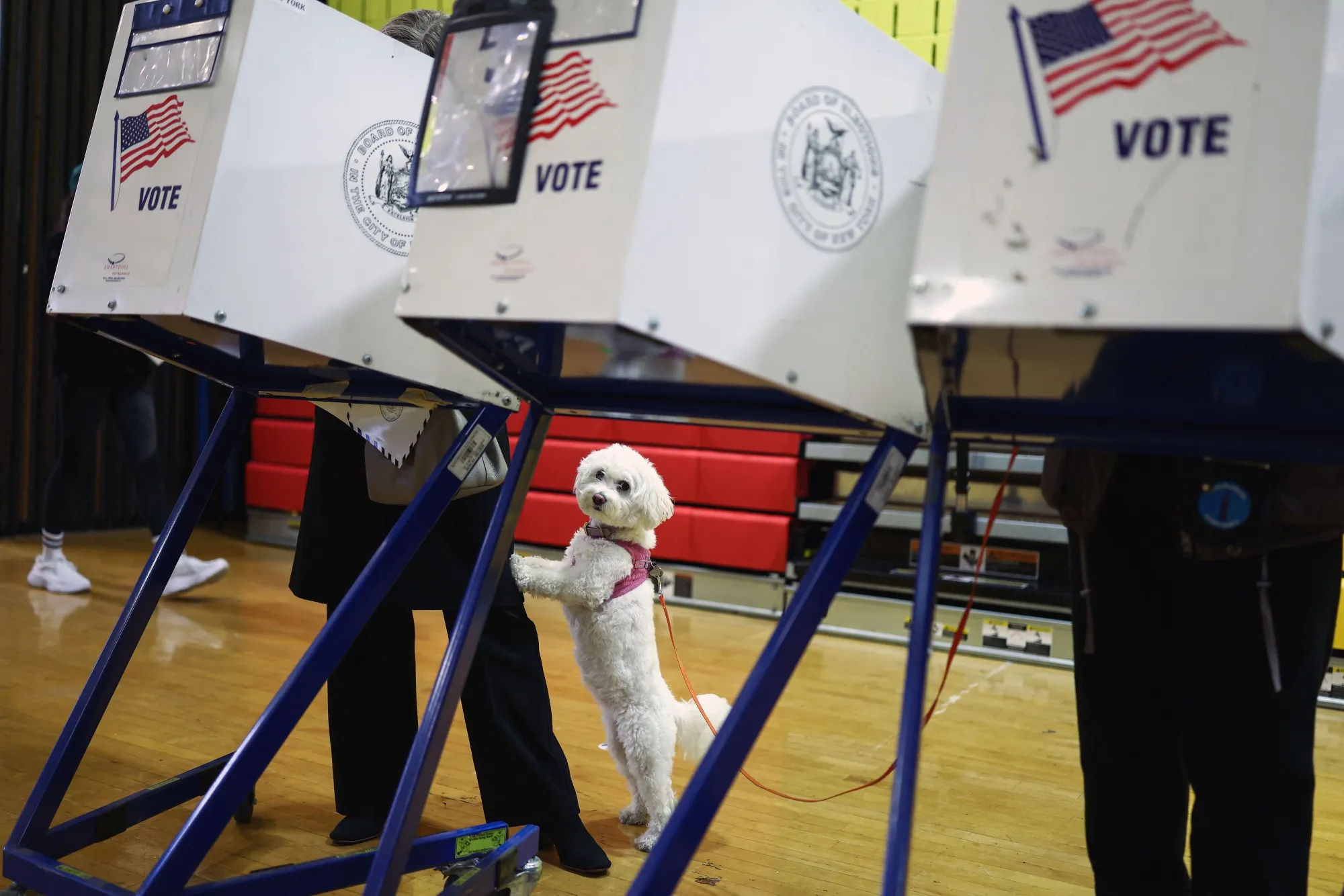 Voters at a polling center in the Manhattan borough of New York for the upcoming mayoral election on October 27.