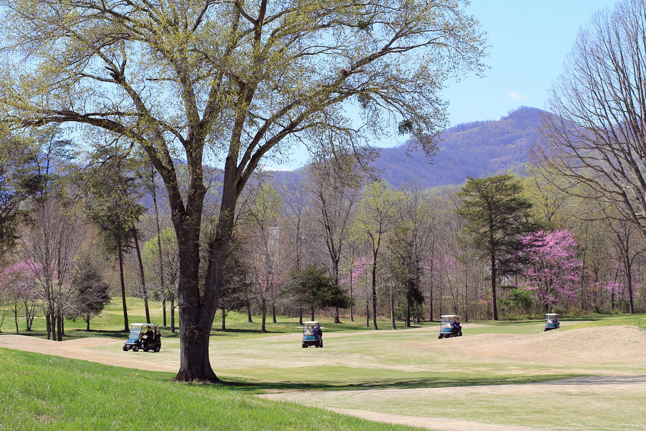 Golfers social distancing at Stoney Creek Golf Course in Nellysford, Va.