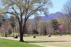 How Golf Courses Are Playing Through Social Distancing