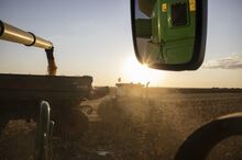 Corn is harvested at a farm in Sinop, Brazil.