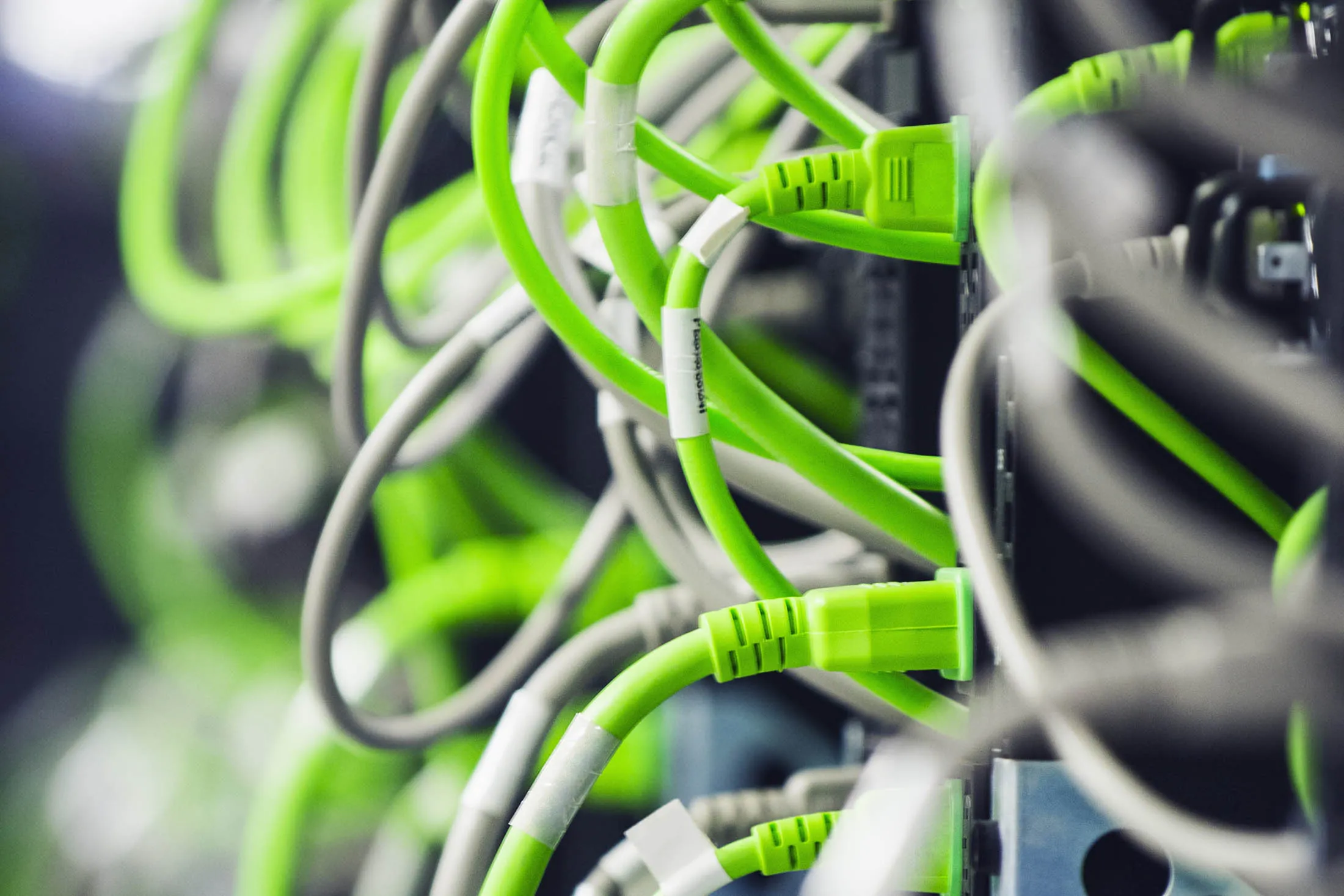 Close up of wires on computer server
