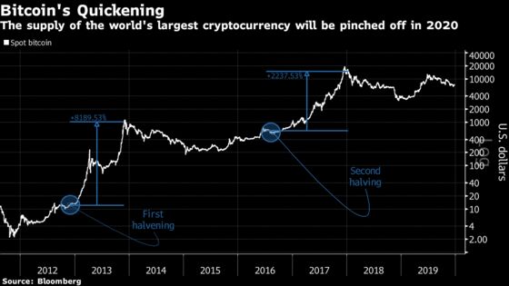 Bitcoin Believers Expect 2020 Rally as a Reward for Halving