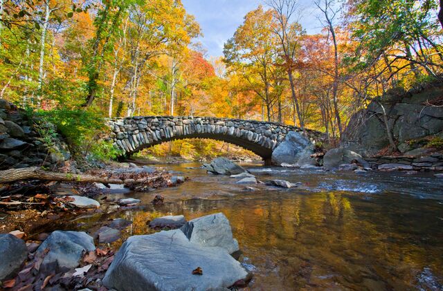 Fall foliage and a stone bridge over a creek at Rock Creek Park.