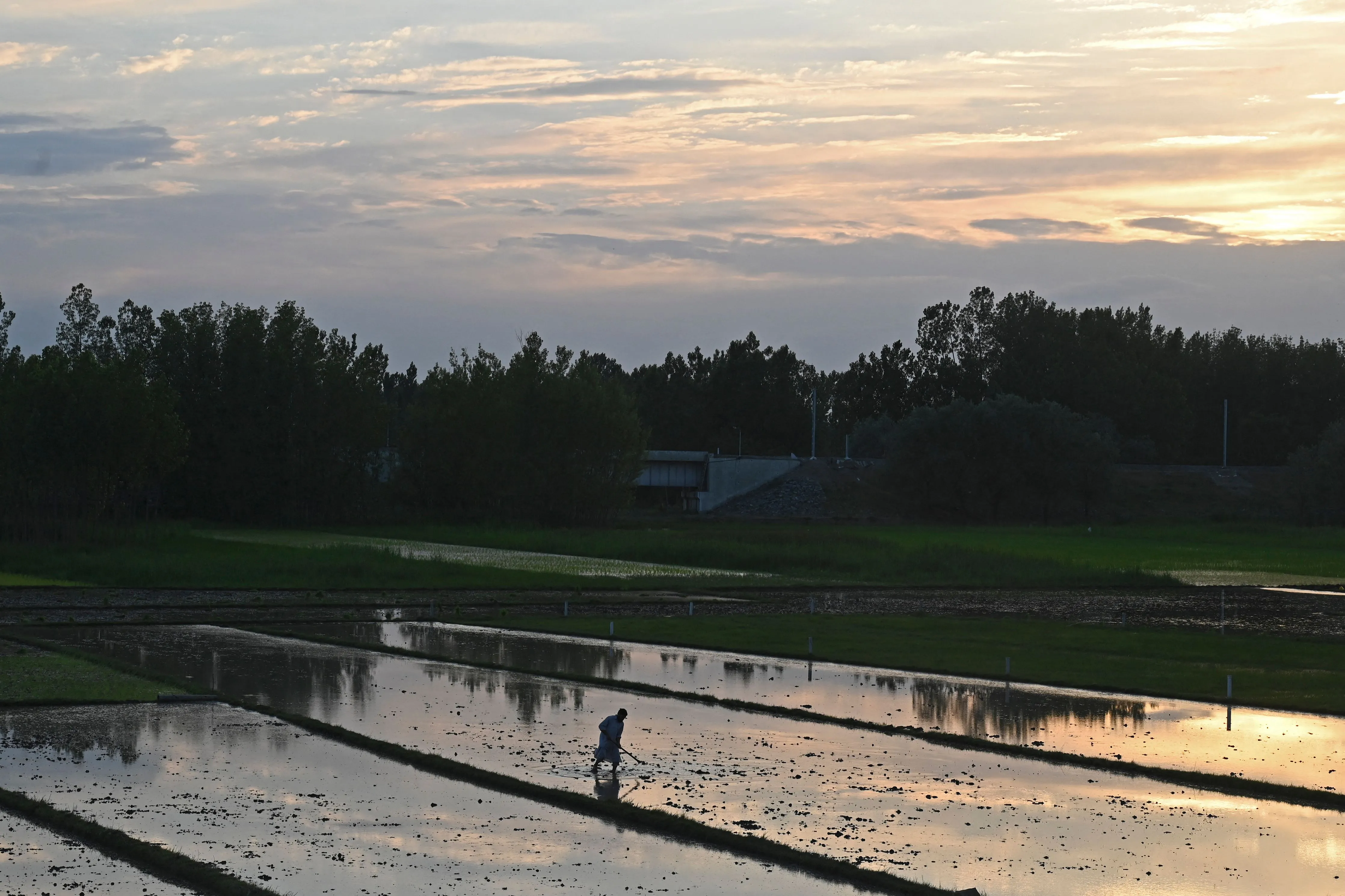 INDIA-KASHMIR-ECONOMY-AGRICULTURE