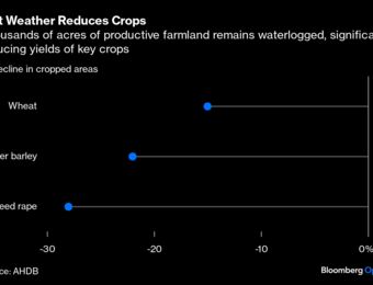relates to Cheap as Chips? Potatoes, Grains and Other Crops Suffer Climate Sogflation