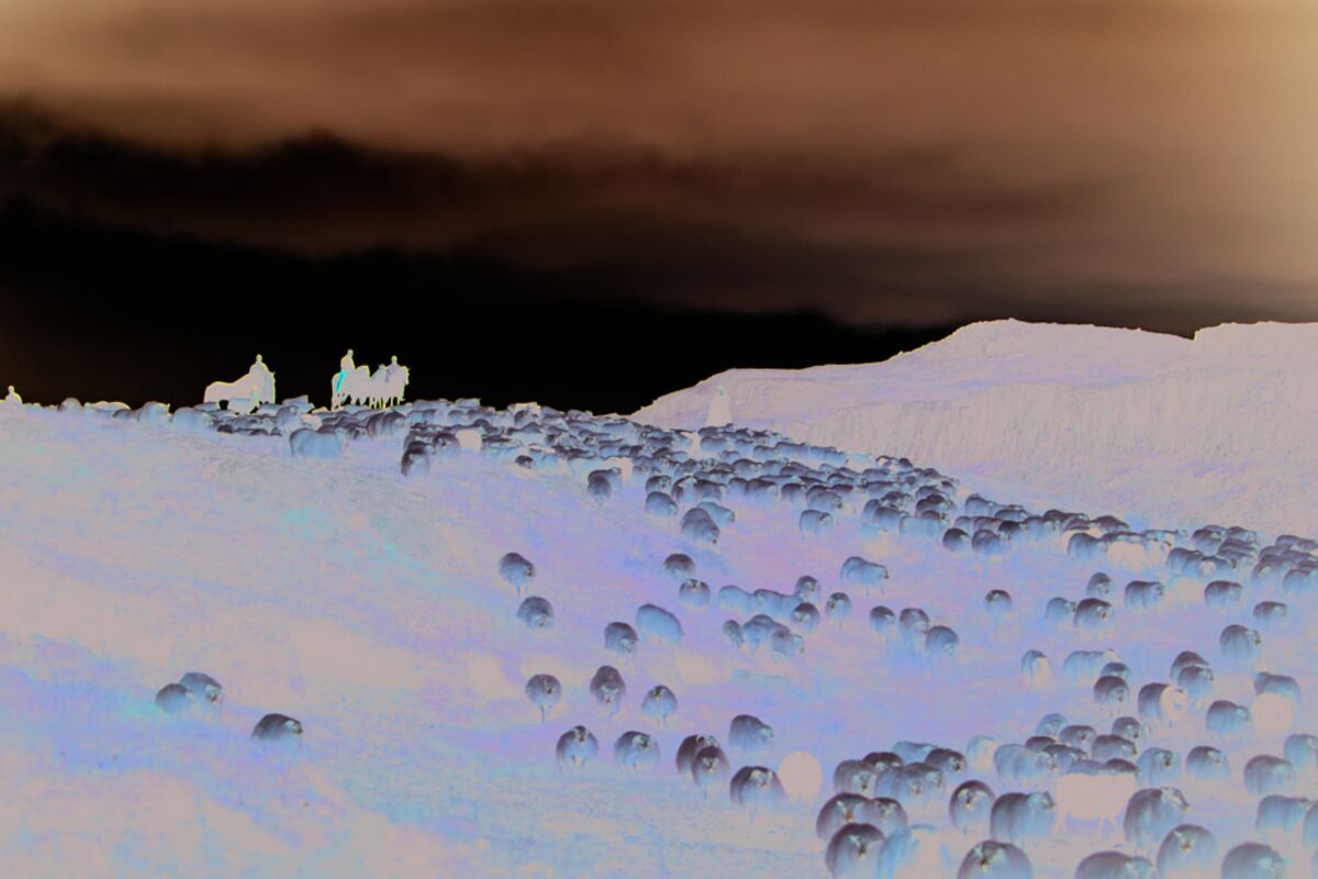 Stories and Recipes From Traditional Food Cultures - Bloomberg