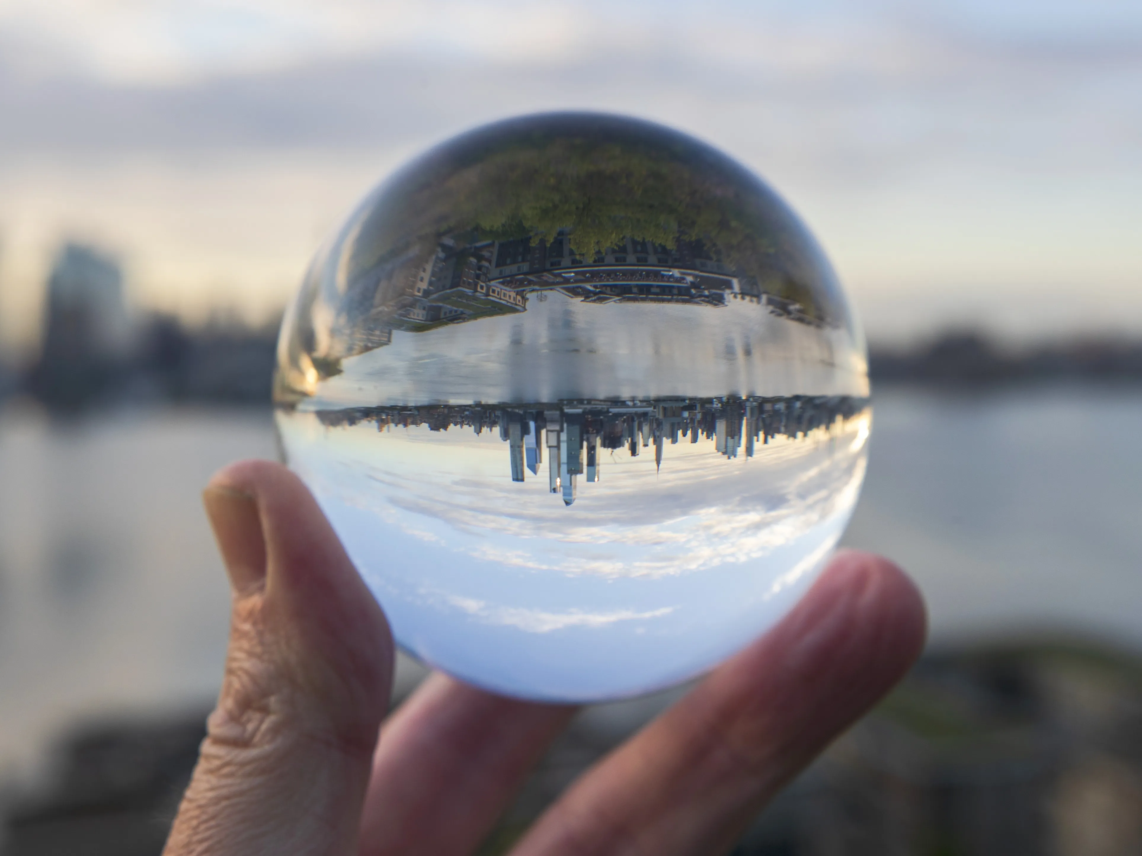 Economists’ crystal ball is anything but clear.