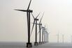 Wind Turbines in Shanghai