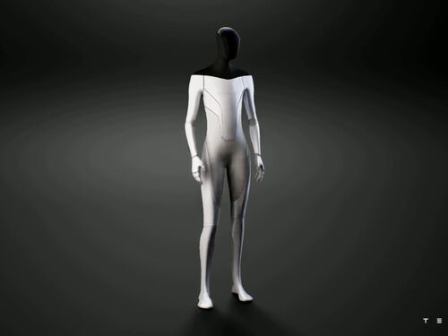 Tesla Bot