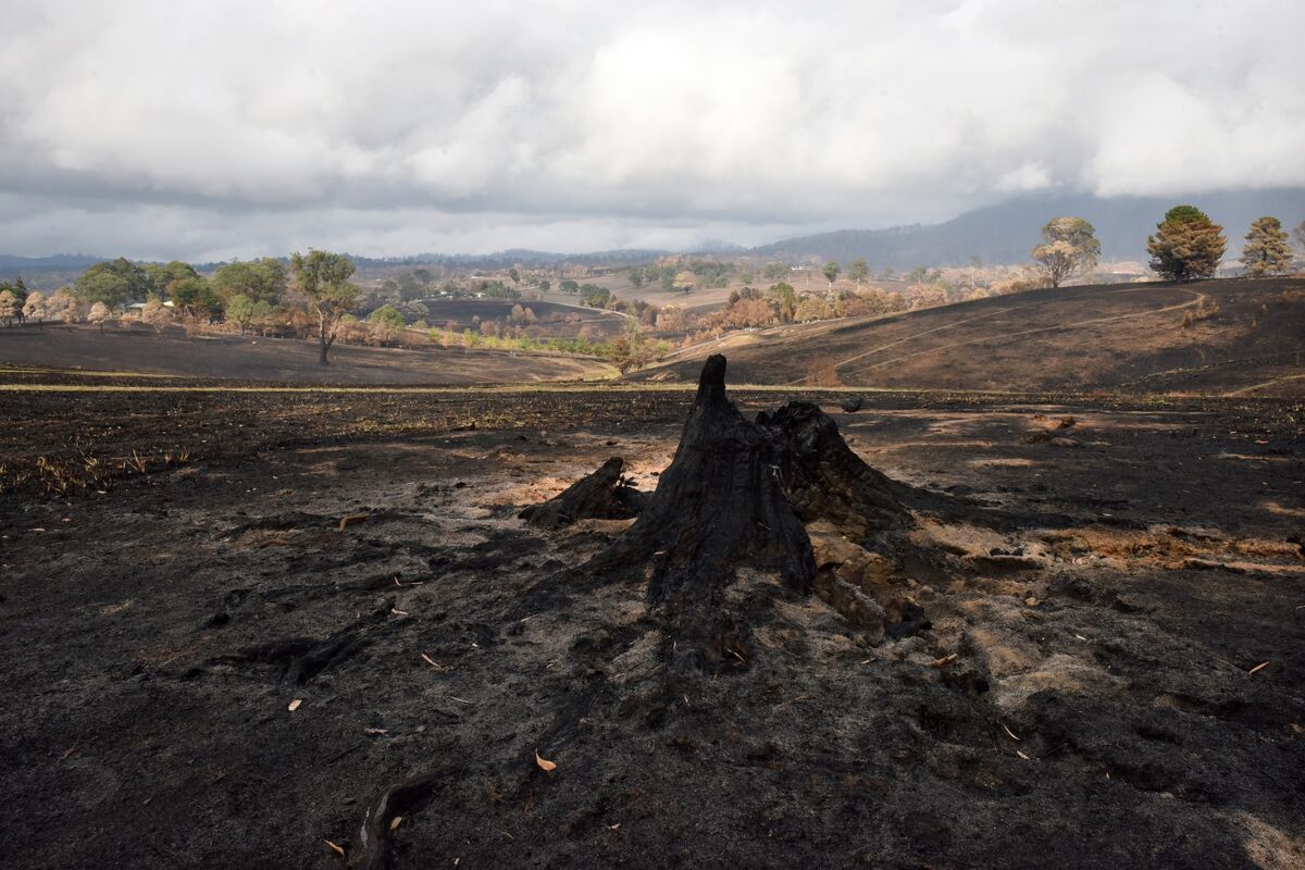 Scientists Warn on Climate as Australia Unlocks Giant Gas Region