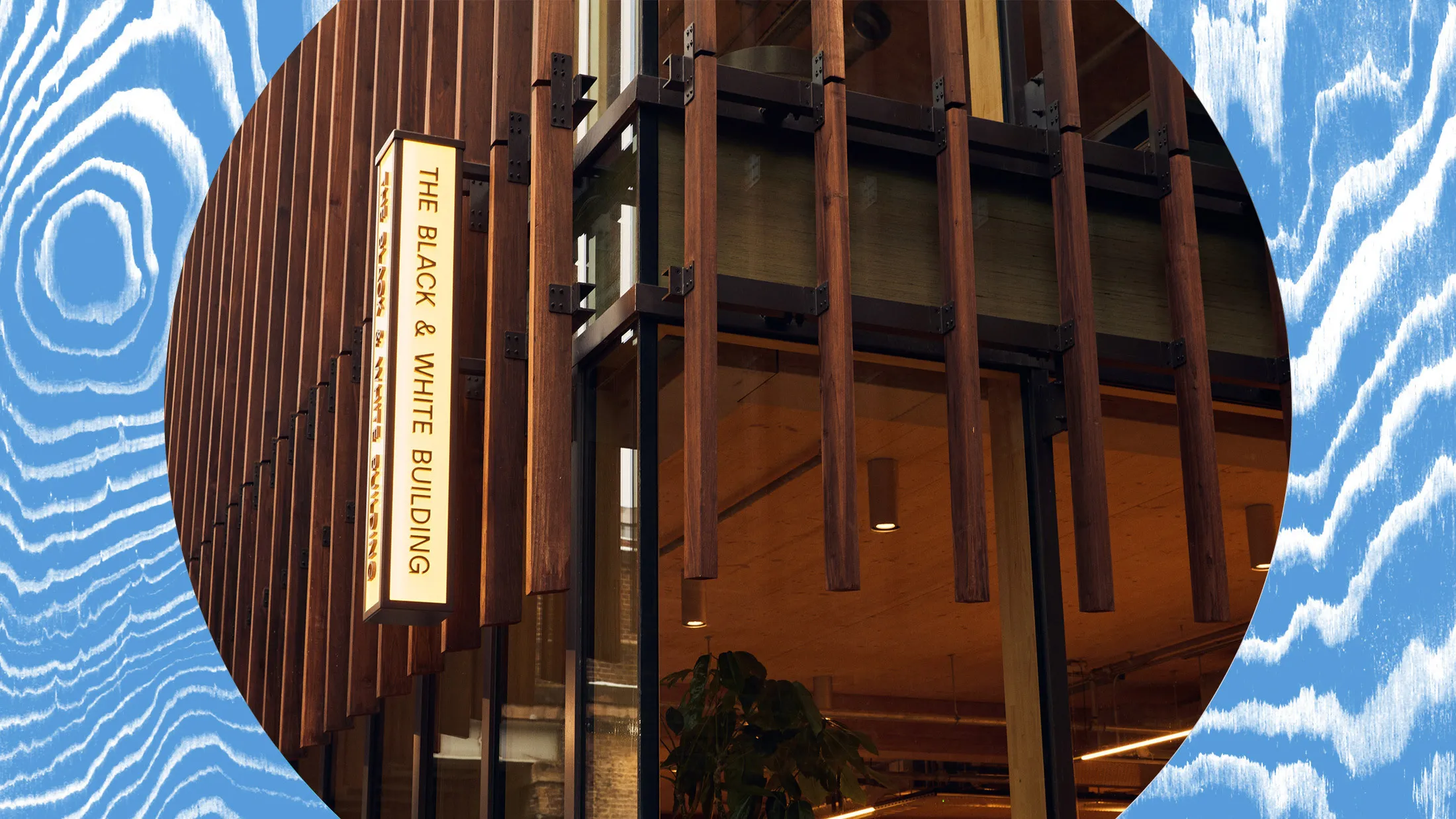 Waugh Thistleton Architects’ new Black and White building, constructed of mass timber, is a rarity in the UK as regulators and insurers treat the building material with caution. 