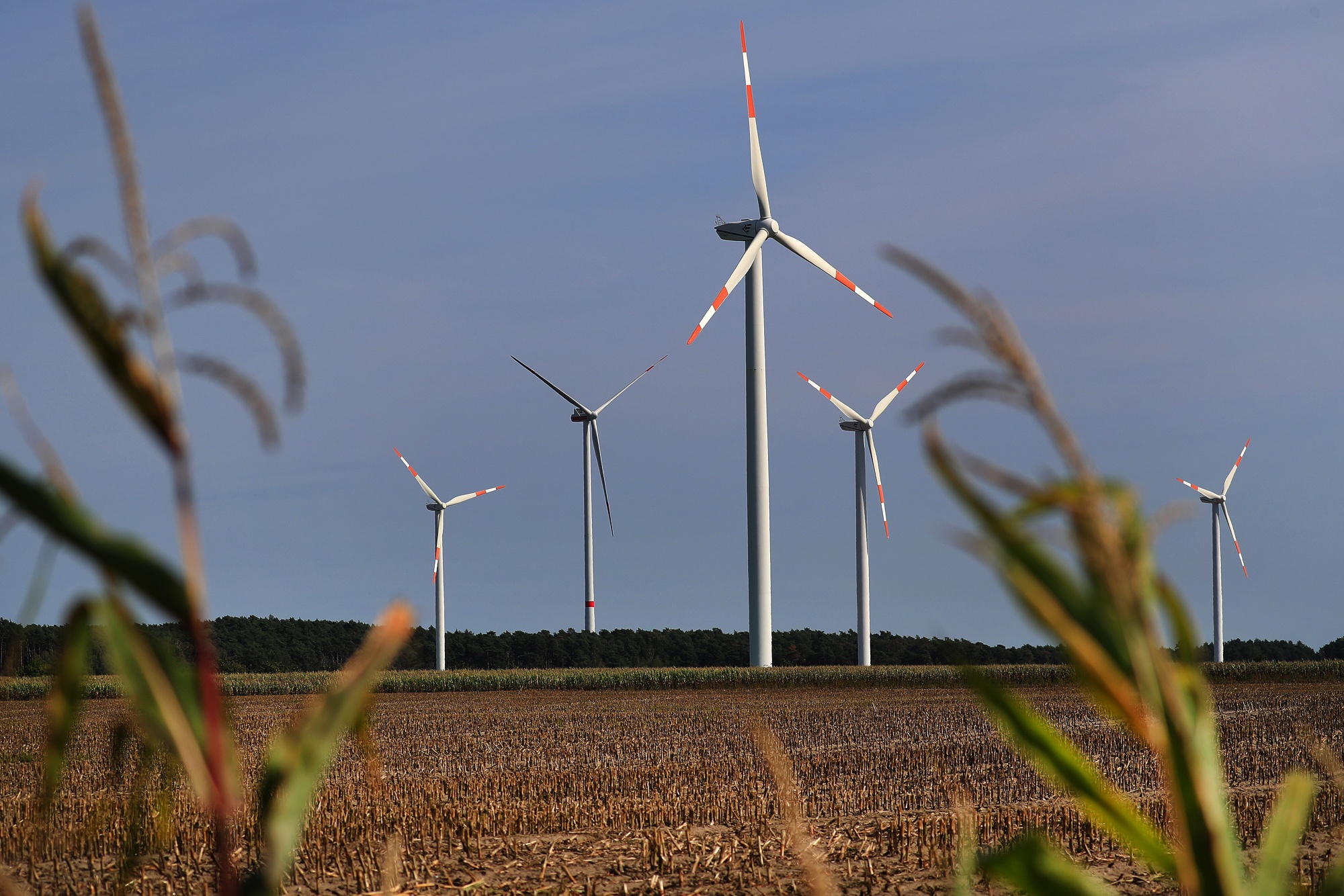 Wind Turbines and Biomass Energy Site as German Green Power Hits Record Levels 