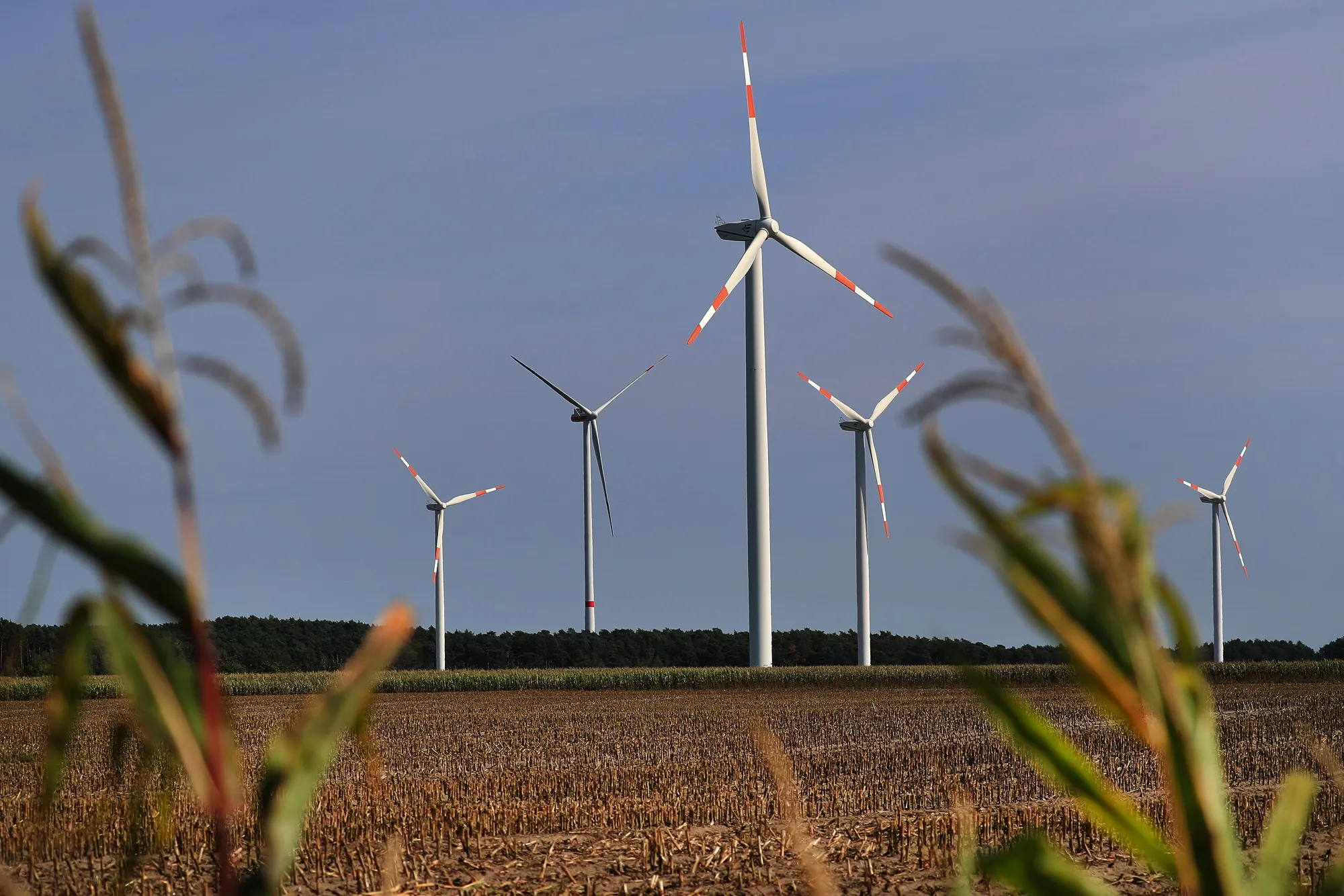 Wind Turbines and Biomass Energy Site as German Green Power Hits Record Levels 