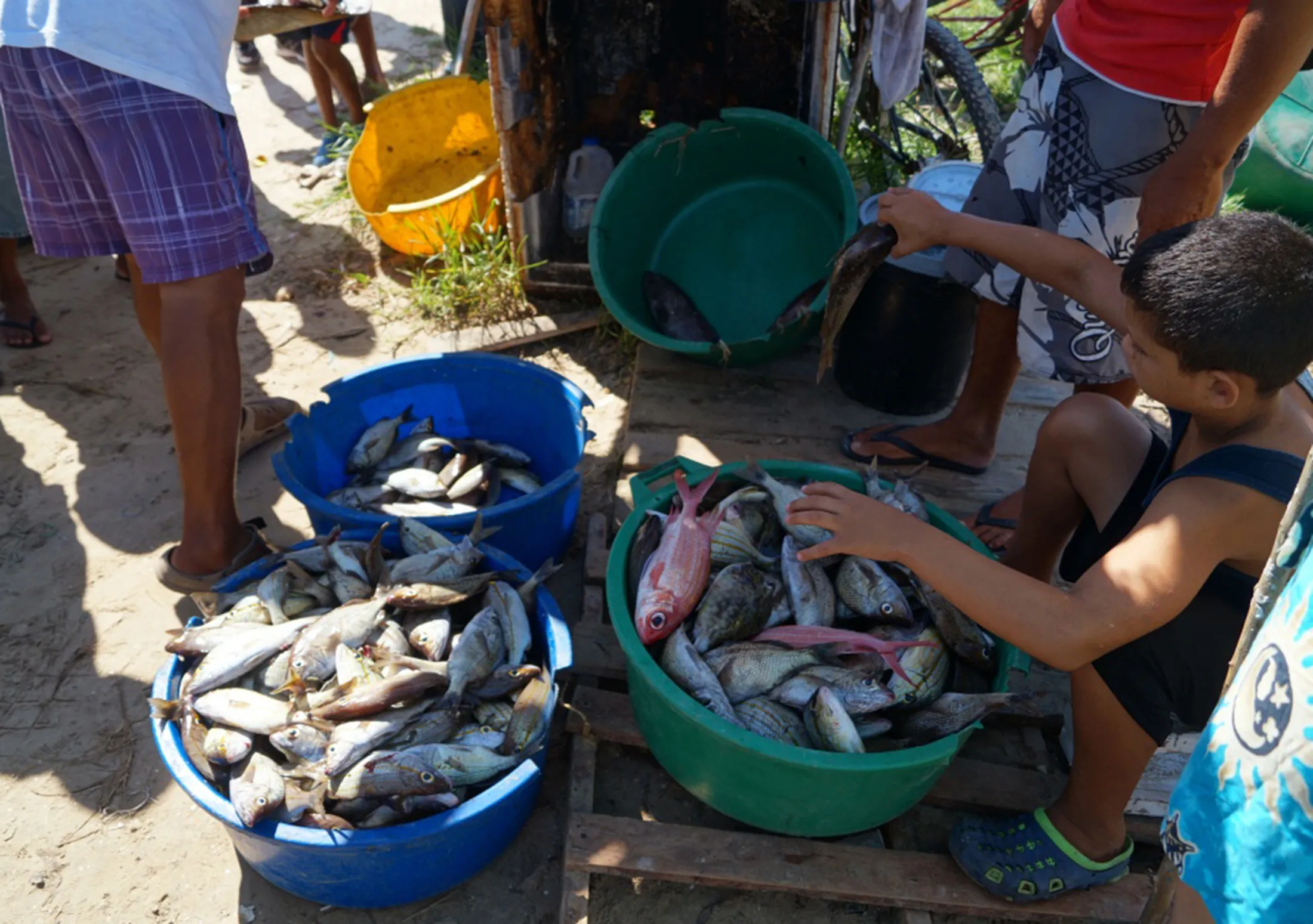 Margarita Island
