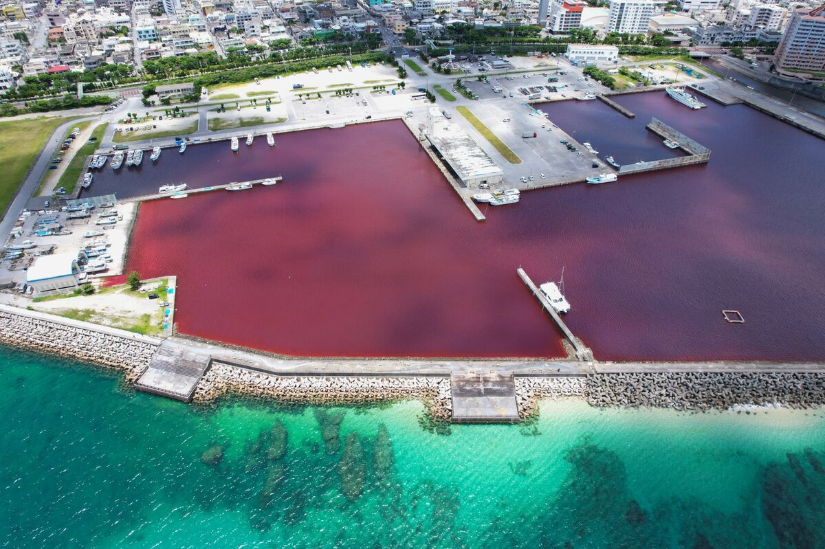 Una bahía de Okinawa, Japón se tiñó de rojo.