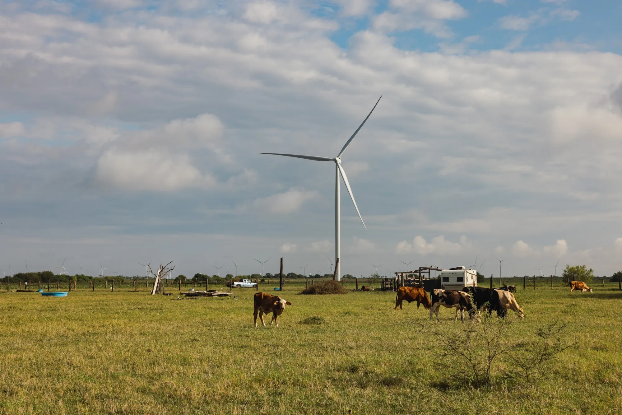 A wind farm near Brownsville, Texas.