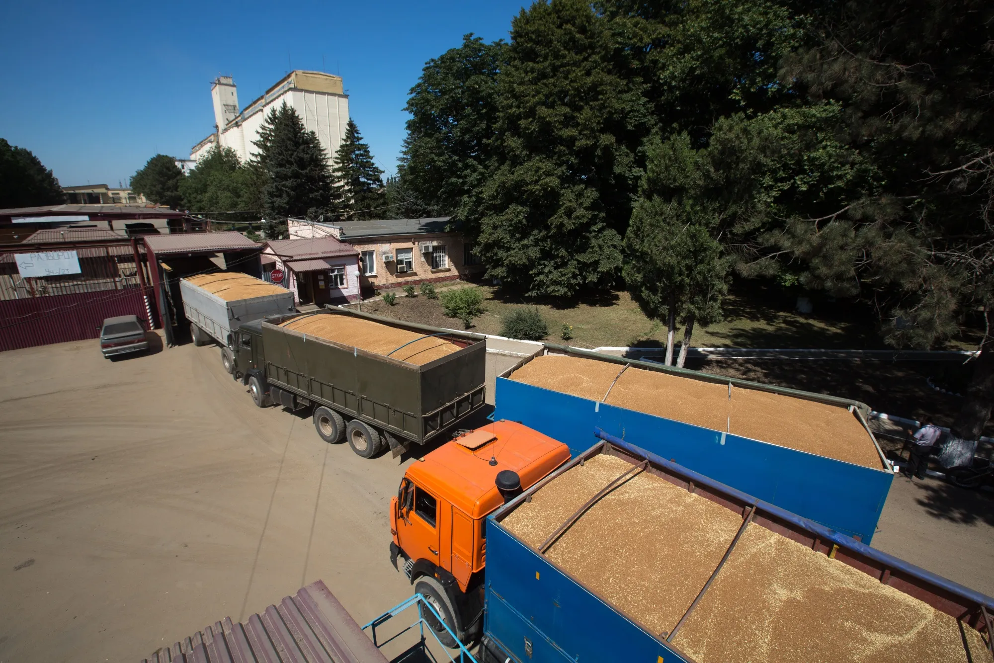 Wheat is delivered to a grain elevator during harvest on a farm in Ust-Labinsk, Krasnodar, Russia.