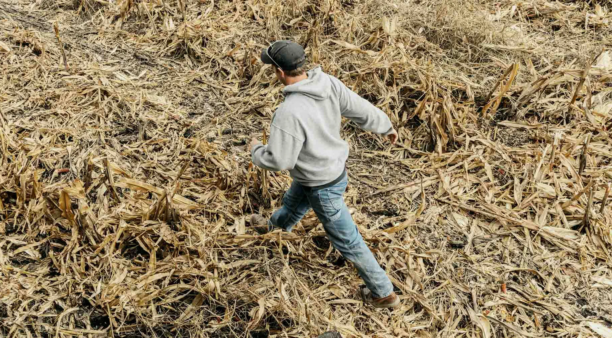 A farmer walks through a corn field on his family's cattle farm in Nevada, Iowa.