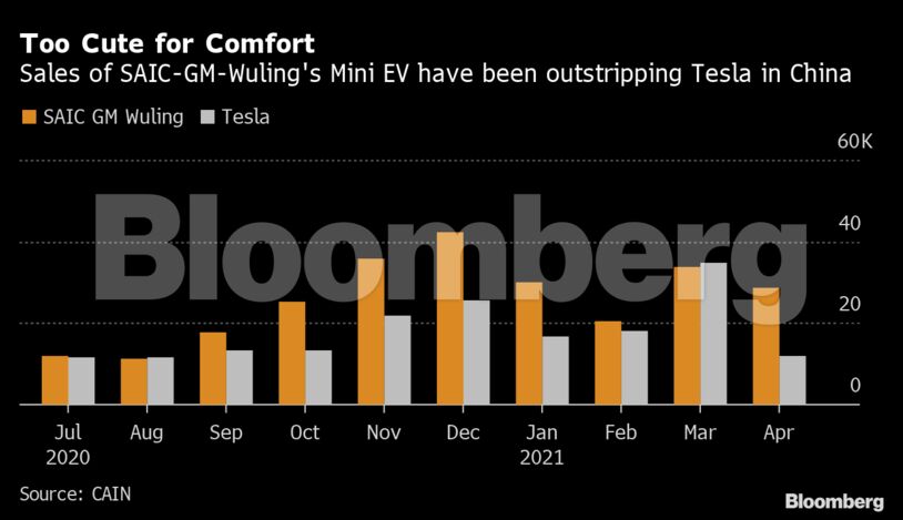 Too Cute for Comfort