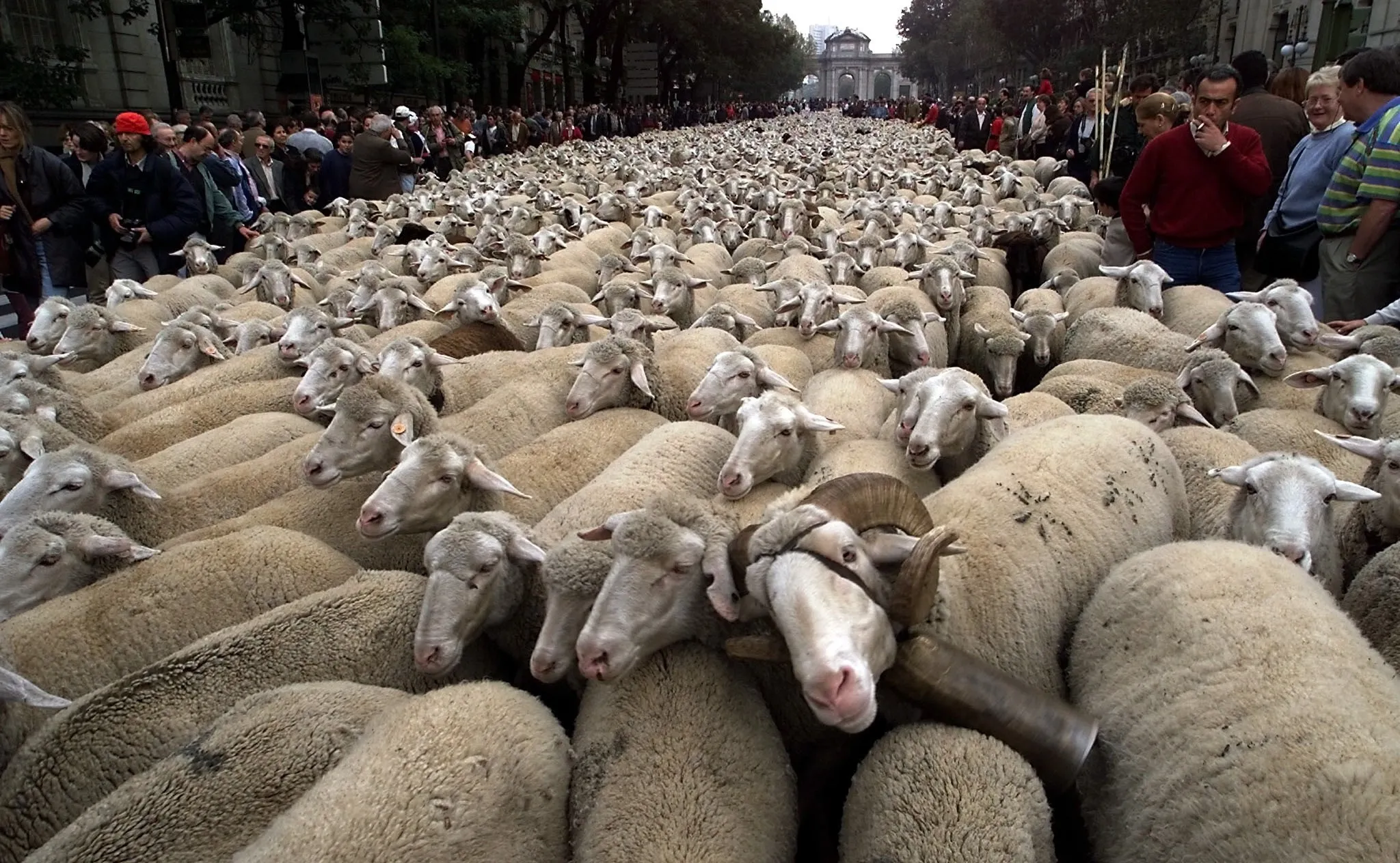 Safety in numbers? Perhaps not.