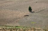 NZ North Island Faces Worst Drought In 70 Years
