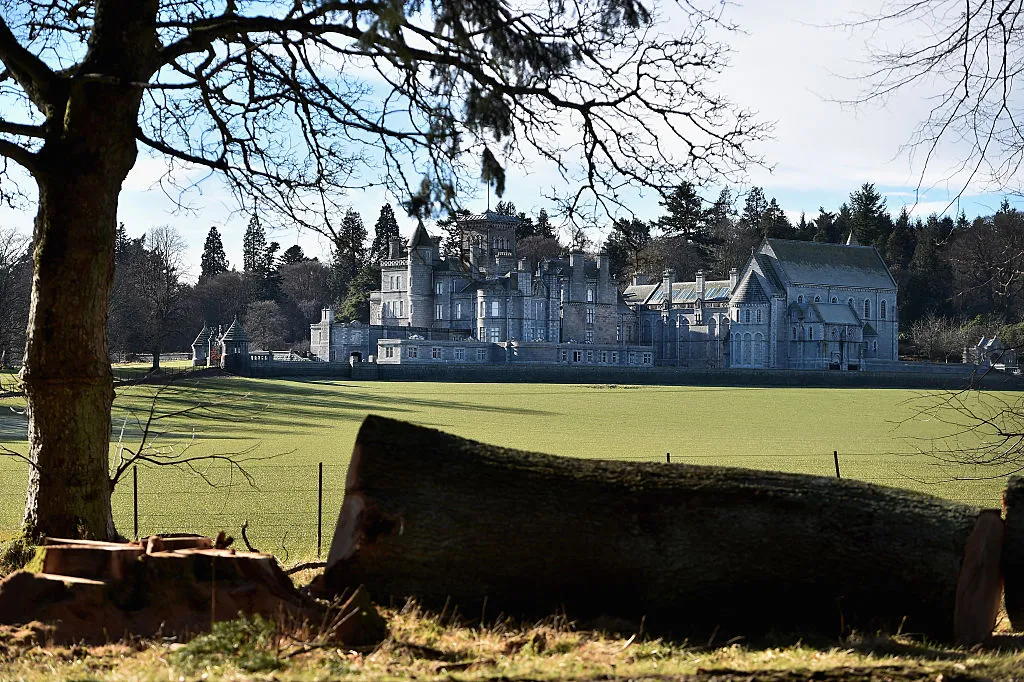 Some family trees bear richer fruit than others.
