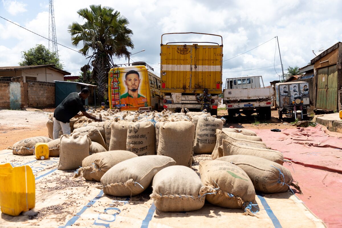 
                            Ivory Coast Bonds Rise as Fitch Upgrade Hands It Near IG Status in Africa