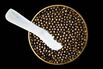 1505485833_lede-hp-social-caviar