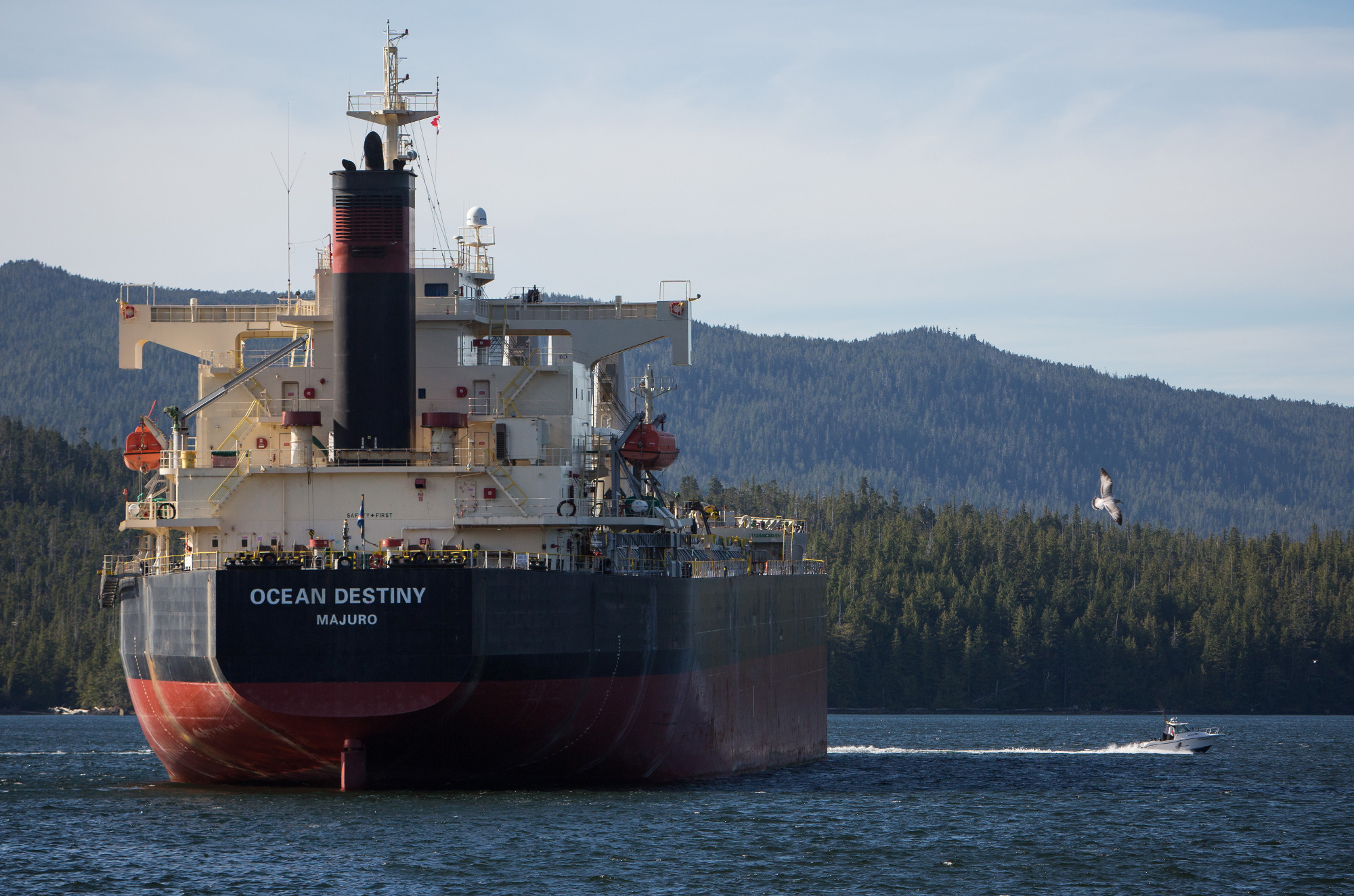 east-canada-lng-edges-toward-decision-on-7-5-billion-plant-bloomberg