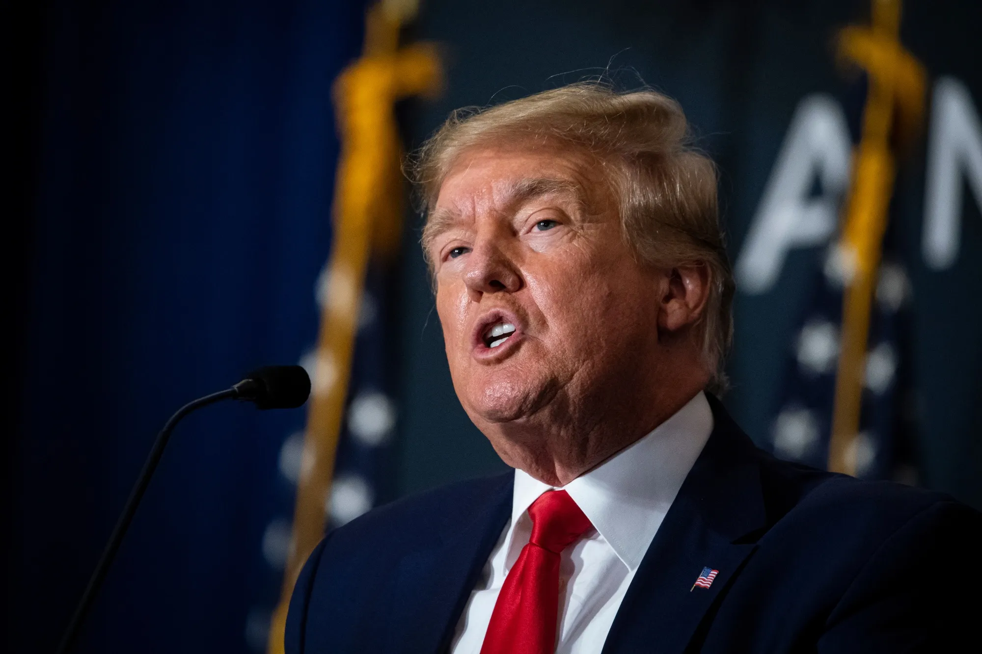Former President Donald Trump&nbsp;