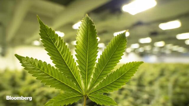 Bloomberg business news