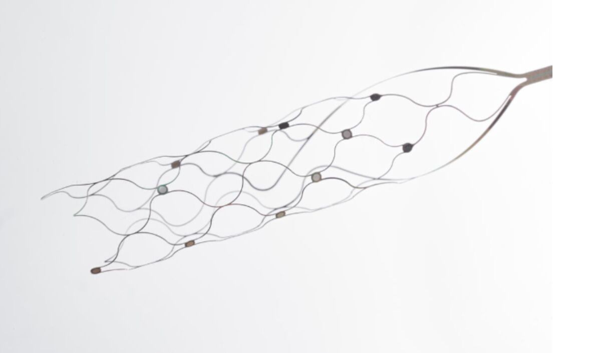 assets.bwbx.io image