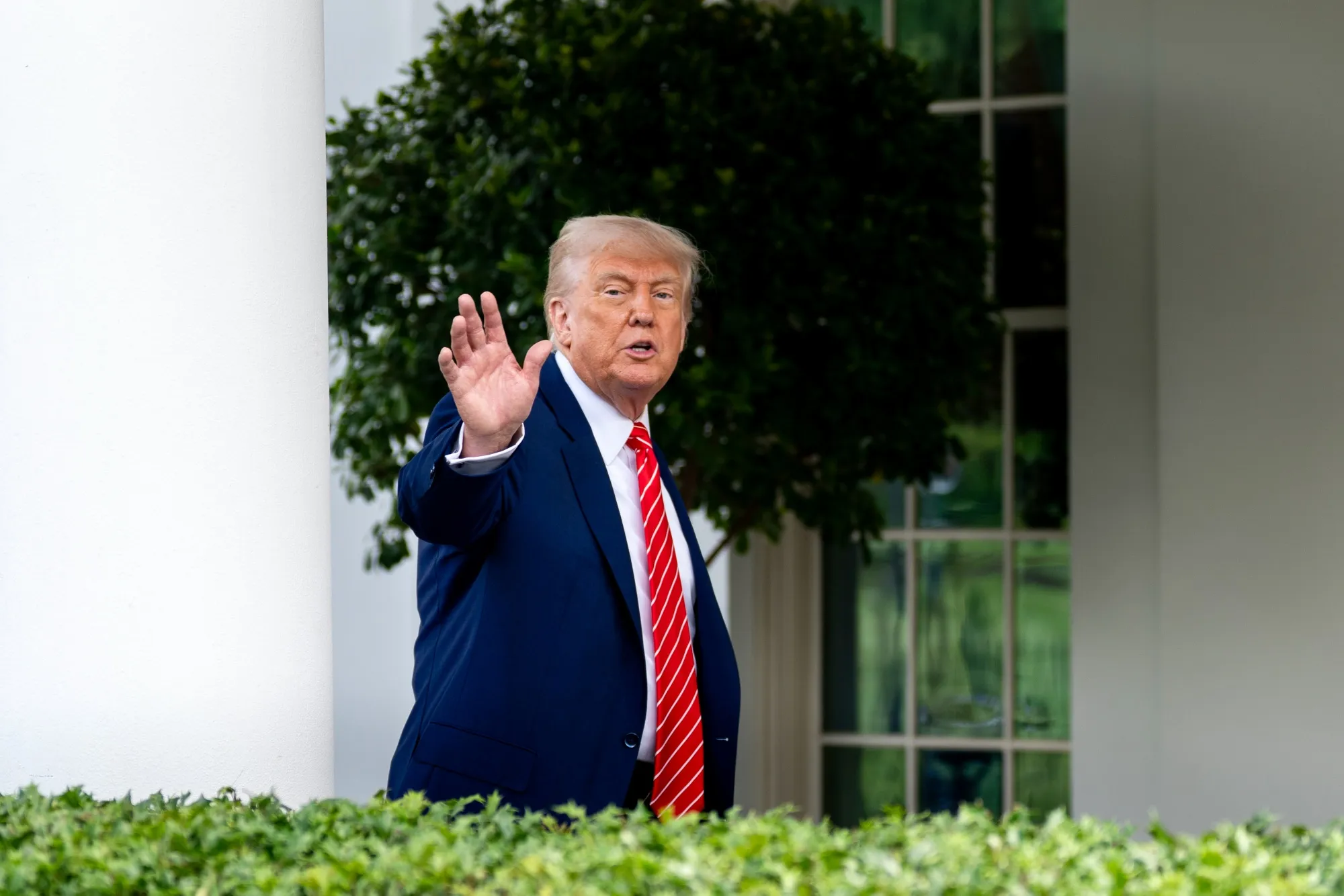 President Donald Trump