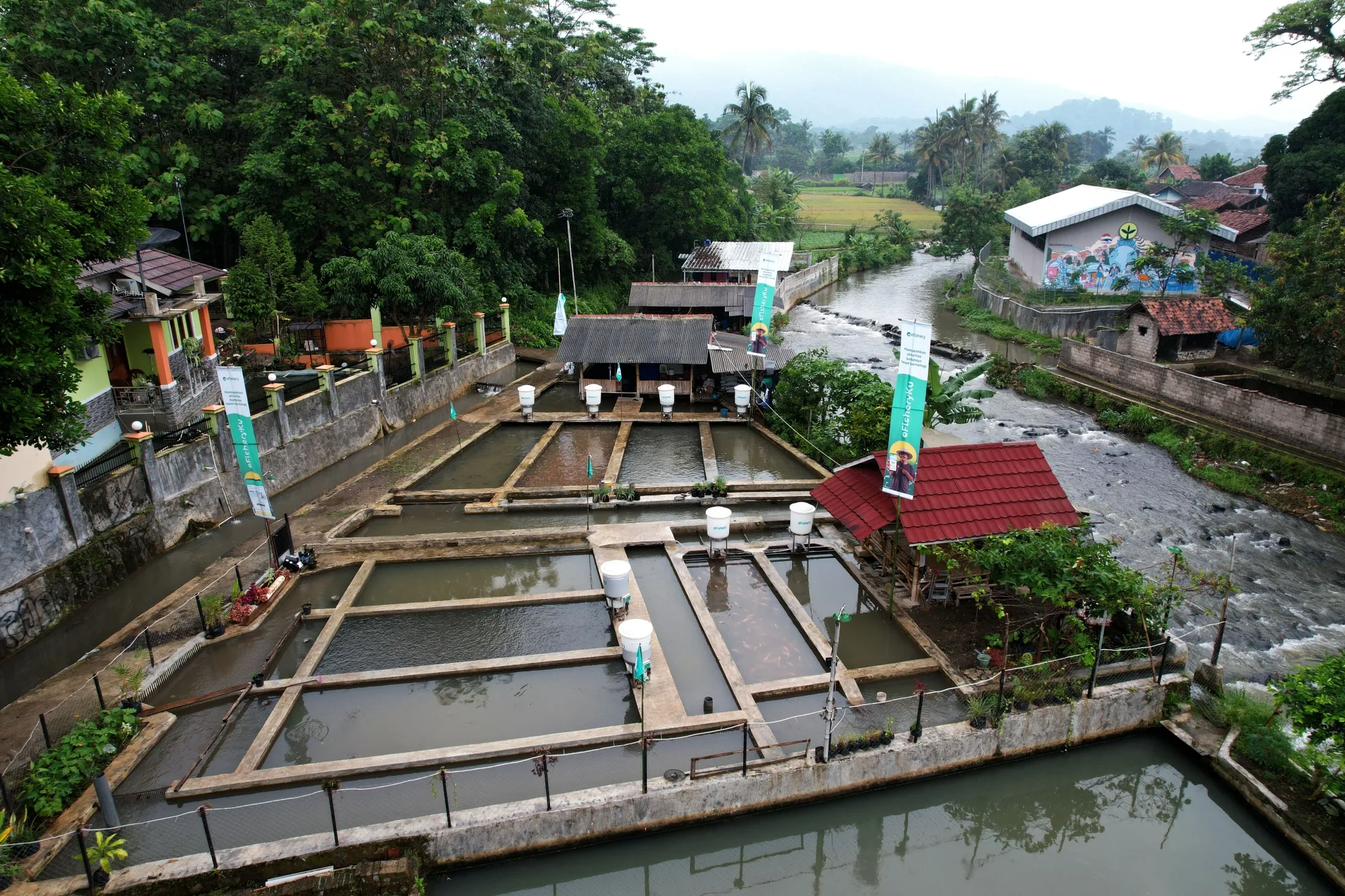 A fish pond equipped with eFishery dispensers in West Java, Indonesia.