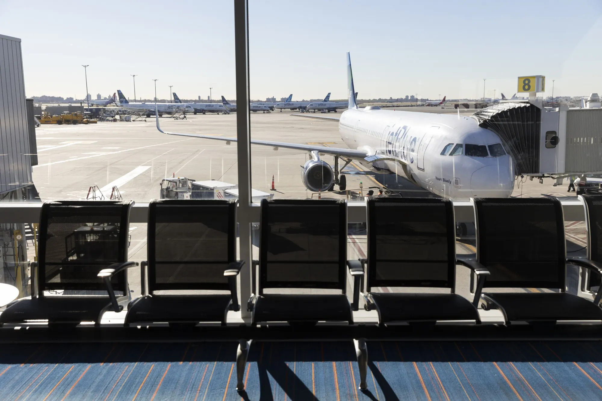 John F. Kennedy International Airport in New York.