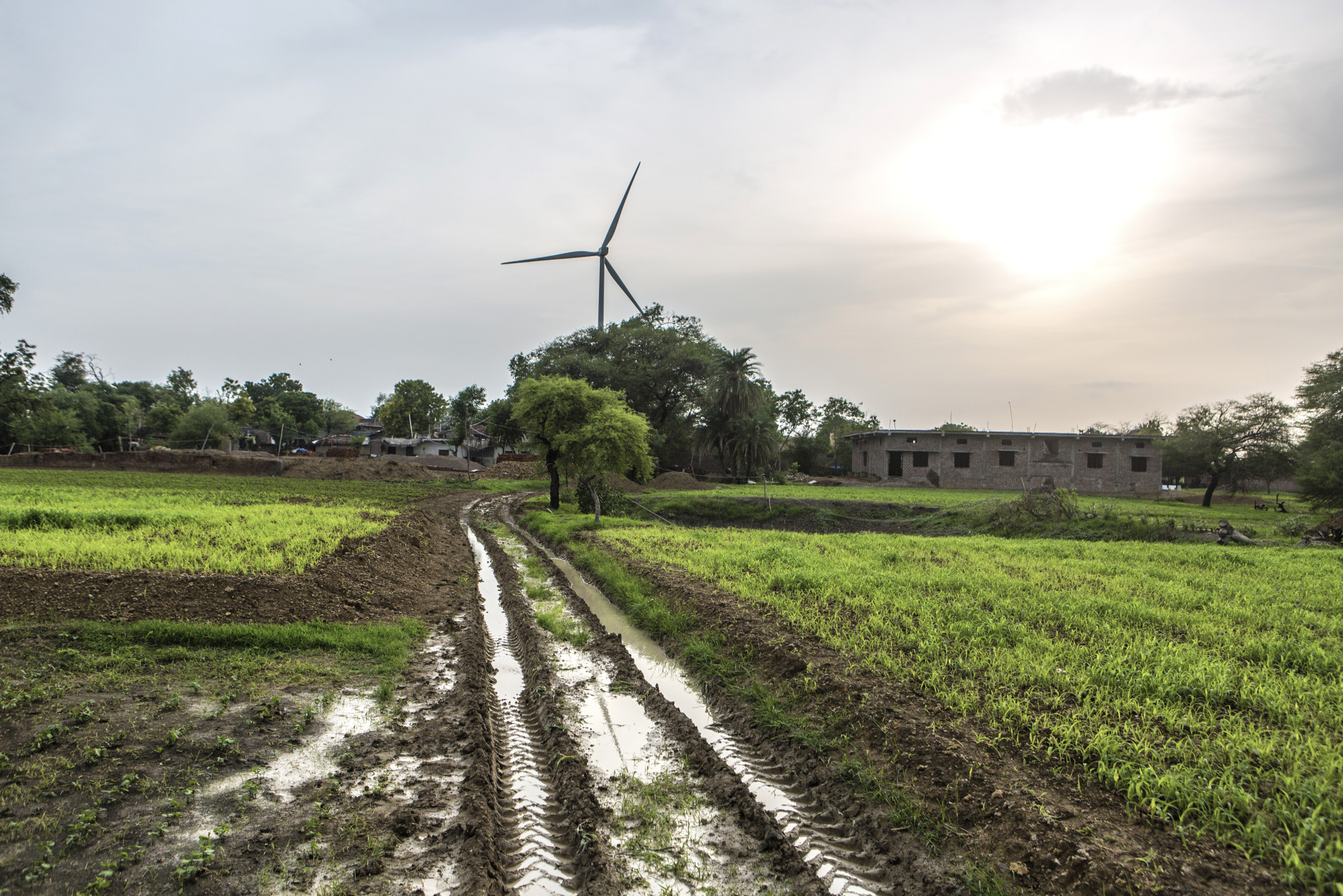 A wind turbine stands near a farm in Dewas, Madhya Pradesh, India.