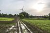 A Simple Way to Trap India's Monsoon Rain Can Boost Output 300%