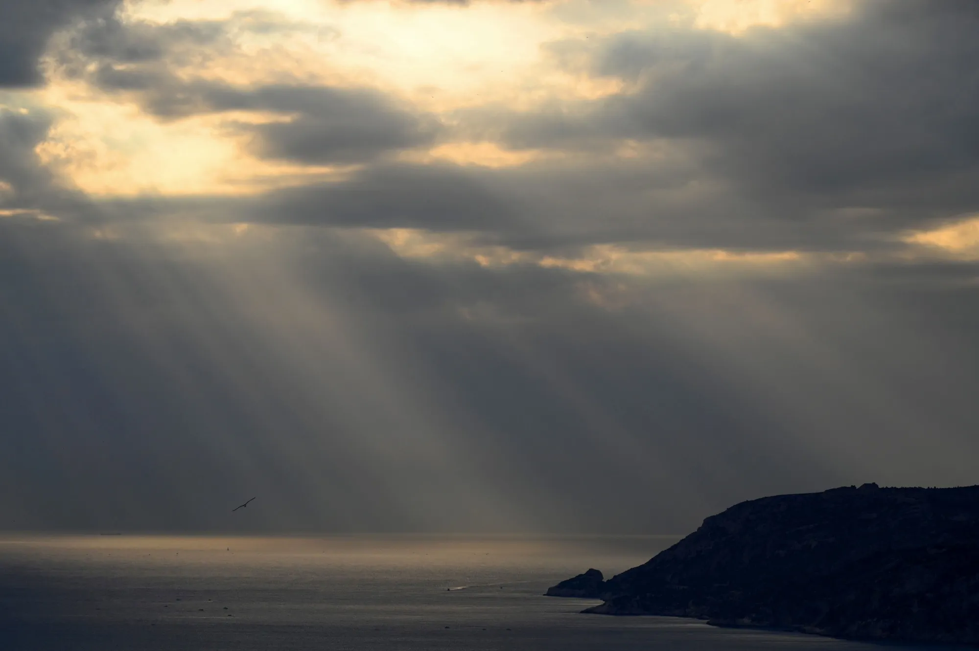 Economists insist on seeing rain despite the sunshine.&nbsp;