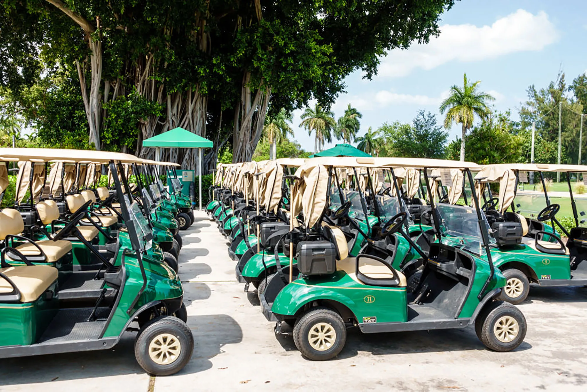 Electric golf carts on&nbsp;Miami Beach Public Golf Course.